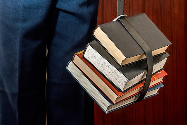 Denmark Scholarship 2025
