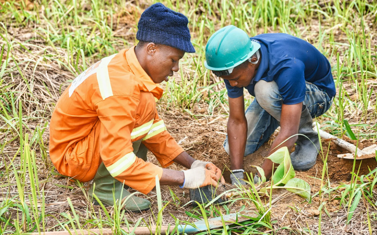 Climate Resilience Fellowships 2026: Your Ultimate Guide to Applying and Making an Impact Climate Resilience Fellowships 2026: Your Ultimate Guide to Applying and Making an Impact